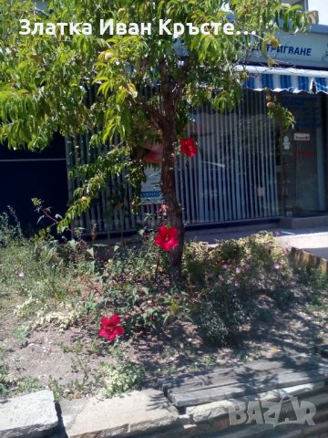 Продава се фризьорски салон, снимка 2 - Фризьорски принадлежности - 39649627