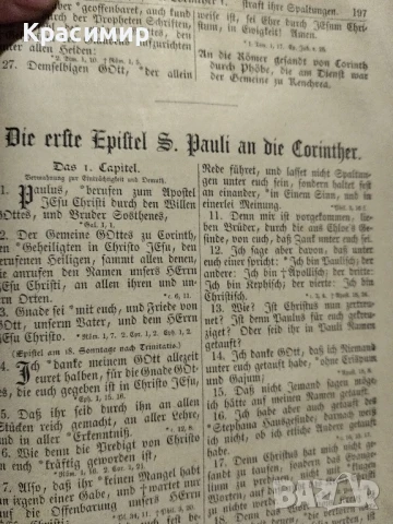Библията на Лутер 1893 г., снимка 4 - Антикварни и старинни предмети - 51000438