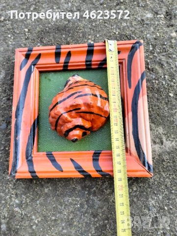 Декоративна картина с рапан, снимка 3 - Антикварни и старинни предмети - 53131342
