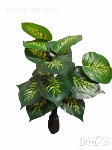 Изкуствено декоративно растение с шарени зелени листа ,1 метър, снимка 3 - Изкуствени цветя - 49901525