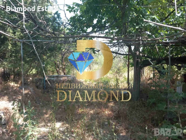 Парцел в село Александрово, обл. Хасково, снимка 5 - Парцели - 50936176