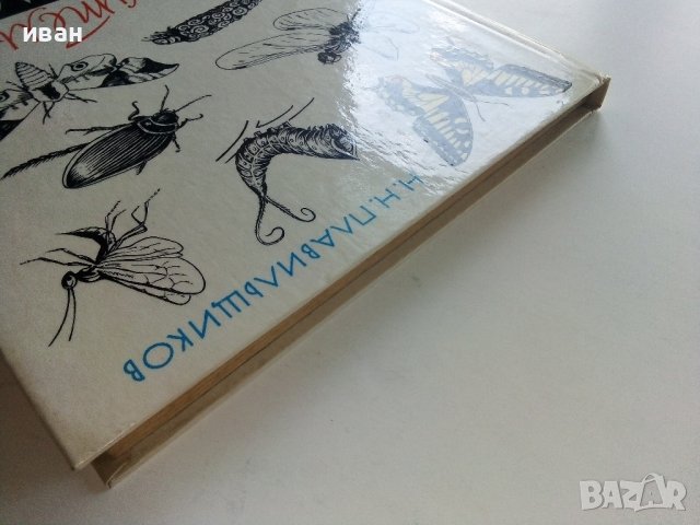 Занимательная Ентомология - Н.Плавильщиков - 1990г., снимка 16 - Детски книжки - 36936231