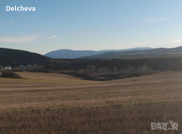 Земеделска земя област Перник, град Батановци 4451кв.м, снимка 10 - Земеделска земя - 52595651