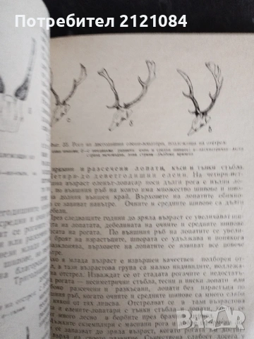 Подборен отстрел на едрия дивеч / Н.Ботев, И.Колев,П.Драгоев , снимка 3 - Специализирана литература - 53475650
