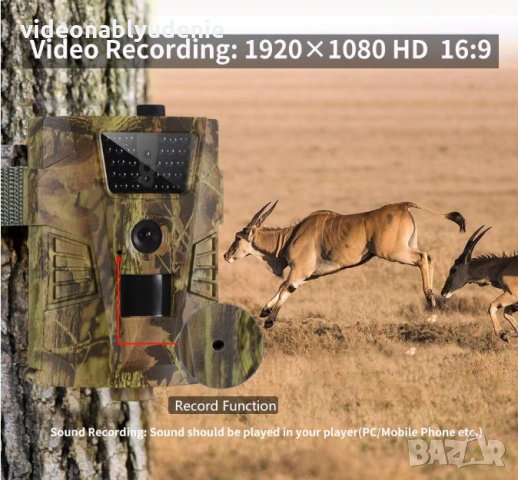 Водонепромокаема FULL HD 1080P Ловна Камера Аудио Видео Фото Капан Нощно Виждане PIR Сензор Движение, снимка 11 - Комплекти за видеонаблюдение - 28657428