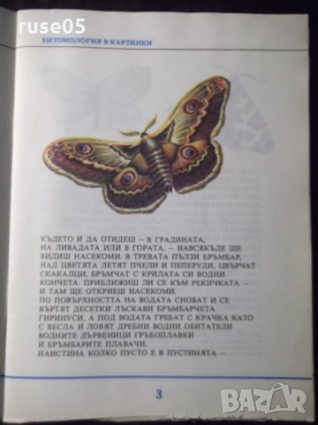 Книга "Ентомология в картинки-Виталий Танасийчук" - 40 стр., снимка 3 - Детски книжки - 35584872