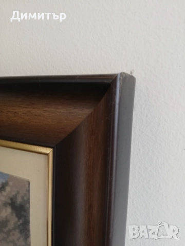 Гоблени рамкирани - част I, снимка 11 - Гоблени - 52071755