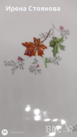 Десертни чинии Д. Стефанов, Разград. Декор дъбов лист, без кант., снимка 2 - Чинии - 44891236