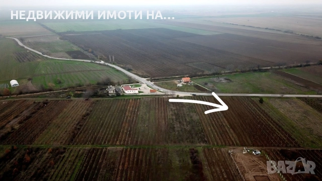 Лозе, снимка 2 - Земеделска земя - 50889861