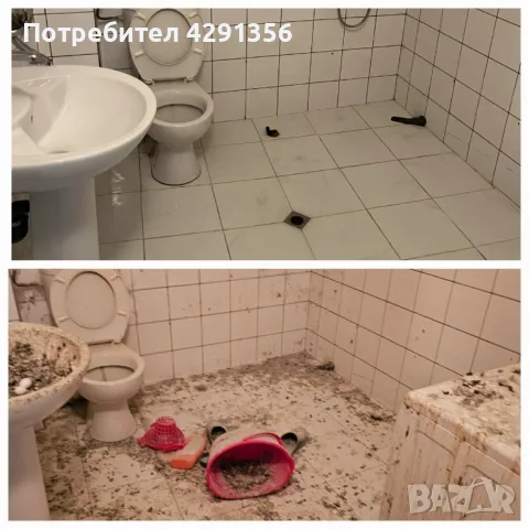 Борба с гълъби град Плевен ; Почистване и дезинфекция., снимка 5 - Други почистващи услуги - 47865111