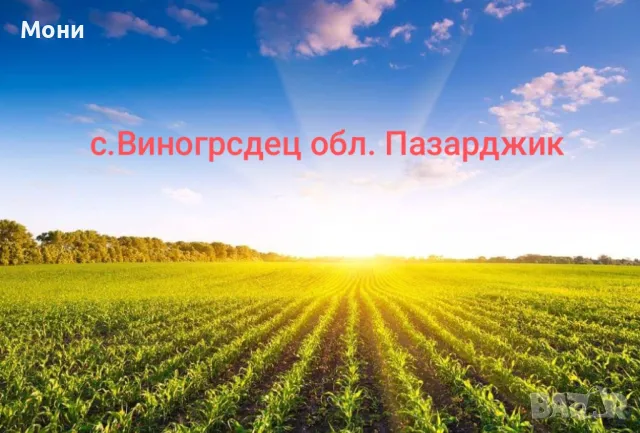 Продавам двор и два гаража, снимка 1 - Парцели - 48226202