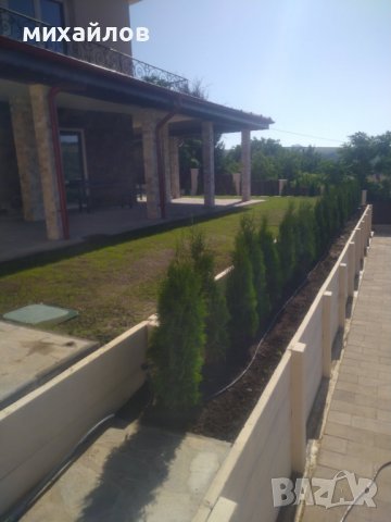 Терасиране на двор,подпорни стени, снимка 12 - Градински цветя и растения - 21446071