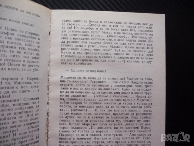Братя Монториан Жана Шампион книга евтина почти без пари :) семейна история роман драма отношения, снимка 2 - Художествена литература - 52401020