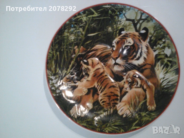 Комплект колекционерски чинии за стена, снимка 3 - Декорация за дома - 53363911