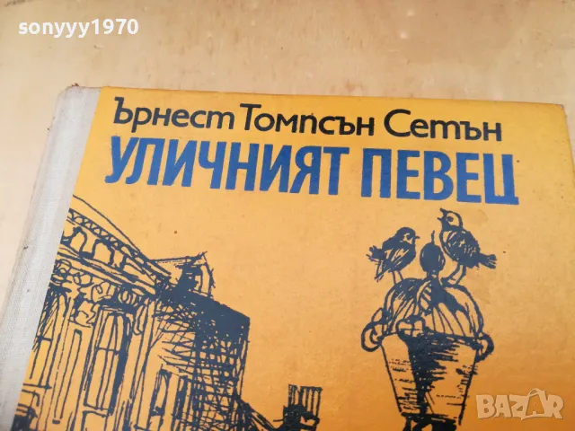 УЛИЧНИЯТ ПЕВЕЦ 1305250821, снимка 3 - Други - 50263234