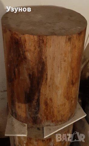 Букови пънове, снимка 5 - Други - 36927065