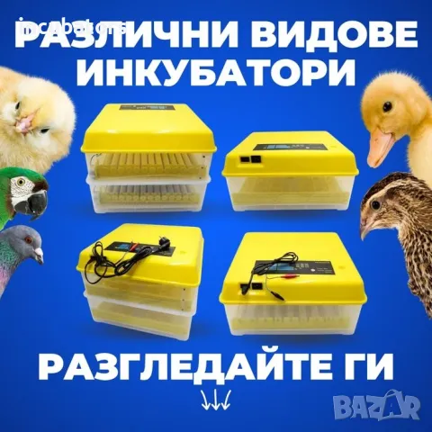 Автоматичен инкубатор с влагомер и двойно захранване 220+12v