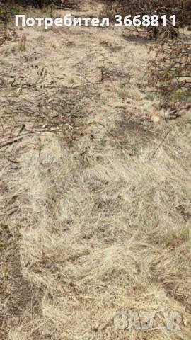 Земеделска земя - Нива - Категория 4, снимка 3 - Земеделска земя - 50814268
