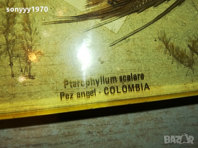 colombia scalare-germany 0407211212, снимка 13 - Колекции - 33416122