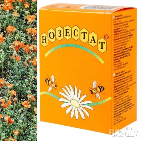 Нозестат разтвор за лечение и профилактика на нозематоза при пчелите, снимка 5 - Други стоки за животни - 25161519