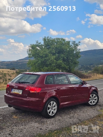 AUDI A3 1.9TDI 105к.с, снимка 2 - Автомобили и джипове - 51582443