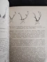 Подборен отстрел на едрия дивеч / Н.Ботев, И.Колев,П.Драгоев , снимка 3