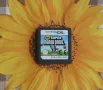New Super Mario Bros. за Нинтендо ДС, снимка 2