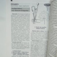 Книга Билкосъбиране - И. Асенов др. 1998 г., снимка 3 - Други - 35253479