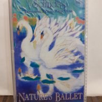   Dan Gibson – Dan Gibson's Solitudes: Nature's Ballet