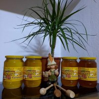 Пчелен мед от Еленския балкан 2023, снимка 2 - Пчелни продукти - 30567850