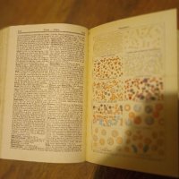 Стара немска енциклопедия 1929 г., снимка 7 - Енциклопедии, справочници - 38732369