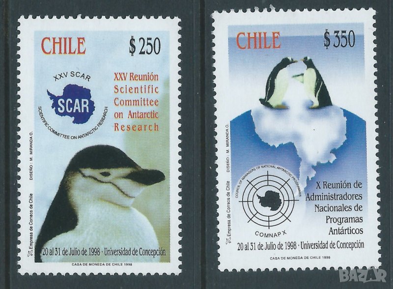 Чили. 1998. Антарктида. Научни изследвания. Пингвини., снимка 1