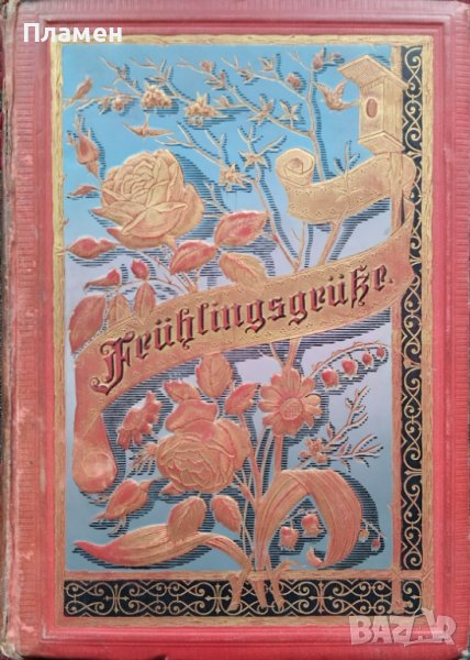 Книга на старонемски език /1860/, снимка 1