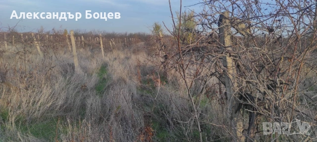ЛОЗЕ-С.МАРКОВО- м. ГЕРЕНА, снимка 6 - Земеделска земя - 49250079