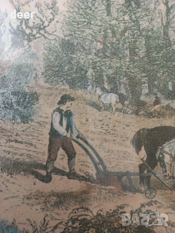 Старинна  картина  с дървена рамка, снимка 4 - Картини - 50891489