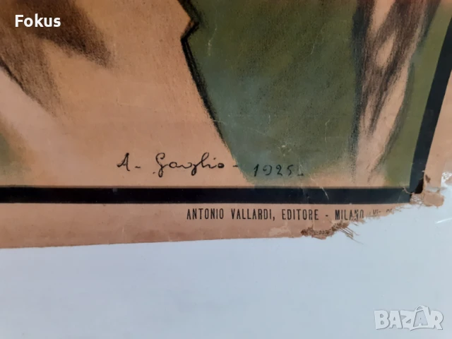 Много стар плакат антропологичен печат Човешките раси 1925г., снимка 2 - Антикварни и старинни предмети - 51169546