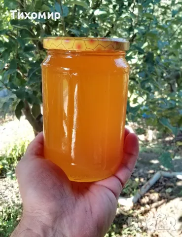 Пчелен мед, Букет реколта 2025 , снимка 2 - Пчелни продукти - 47533175