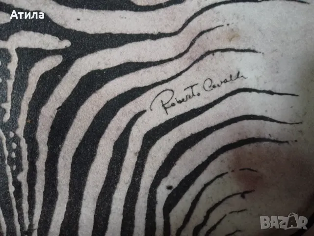 слънчеви очила roberto cavalli, снимка 3 - Слънчеви и диоптрични очила - 47463390