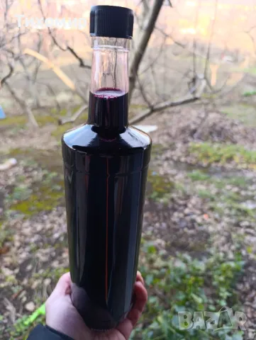 Оцет от черен бъз, Домашен, Био, снимка 3 - Домашни продукти - 48556983