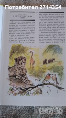 Библия за деца , снимка 2 - Детски книжки - 52274381