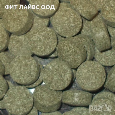 Храна на таблетки за всички видове дънни аквариумни риби TABLETS BOTTOM, снимка 2 - Аквариуми - 43050237