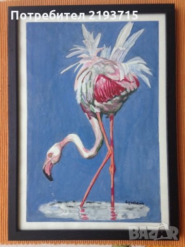 Фламинго с перата нагоре