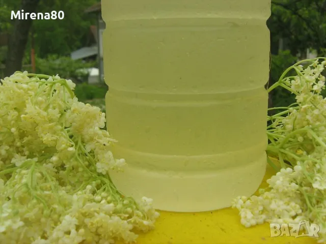 Сироп от бял бъз от Троянския балкан !, снимка 2 - Домашни напитки - 50243656