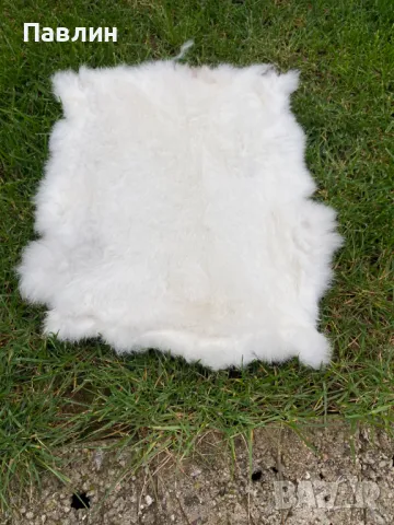 Заешки кожи, снимка 3 - Други - 48386626