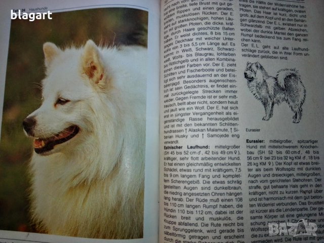 "Енциклопедия на кучето"-Германия, снимка 6 - Специализирана литература - 33458448