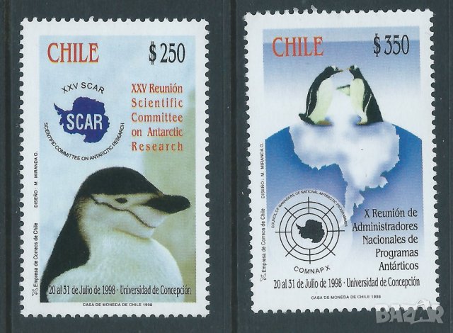 Чили. 1998. Антарктида. Научни изследвания. Пингвини., снимка 1
