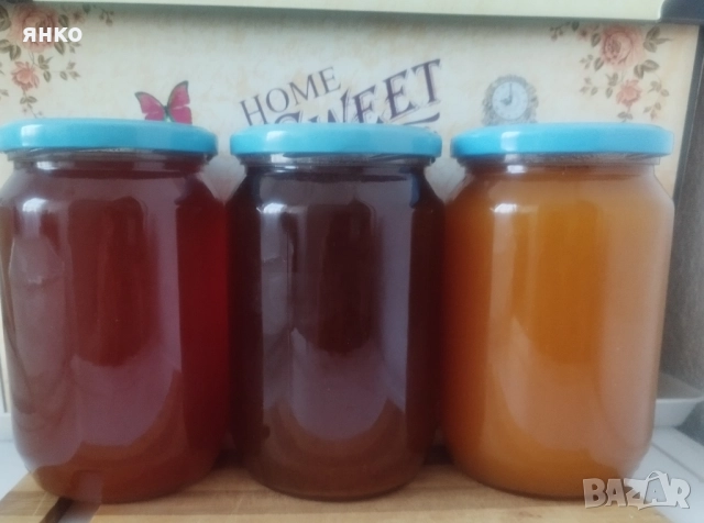 продавам натурален полифлорен пчелен мед мана+магарешки бодил , снимка 4 - Пчелни продукти - 51449601