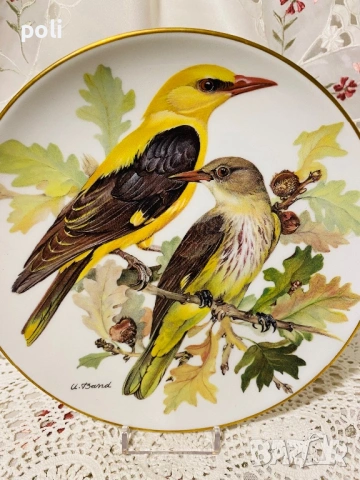 порцеланова чиния за стена , снимка 2 - Декорация за дома - 53594901