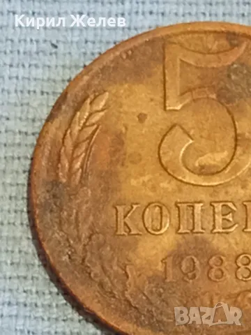 Стара монета 5 копейки 1988г. СССР рядка за КОЛЕКЦИЯ ДЕКОРАЦИЯ 39427, снимка 3 - Нумизматика и бонистика - 48038139