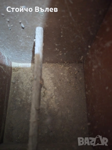 Люпилки за вълнисни папагали и корели, снимка 10 - За птици - 53140970